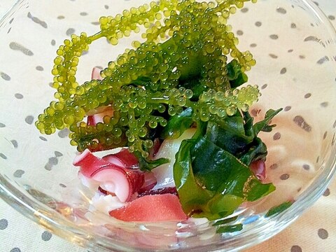 タコとわかめと海ぶどうの酢の物 レシピ 作り方 By ラズベリっち 楽天レシピ タコとわかめと海ぶどうの酢の物 レシピ 作り方 By ラズベリっち 楽天レシピ